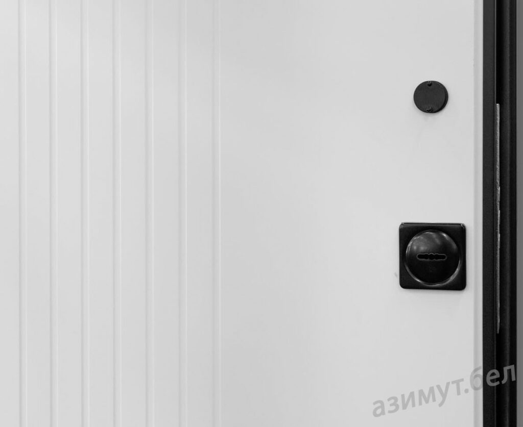 Входная дверь Лигея